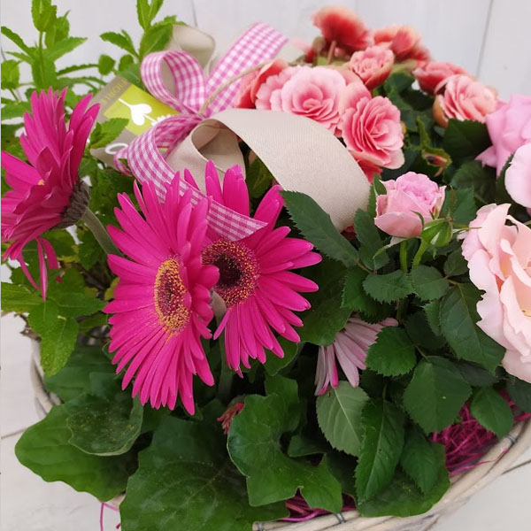 fiori regalo bergamo
